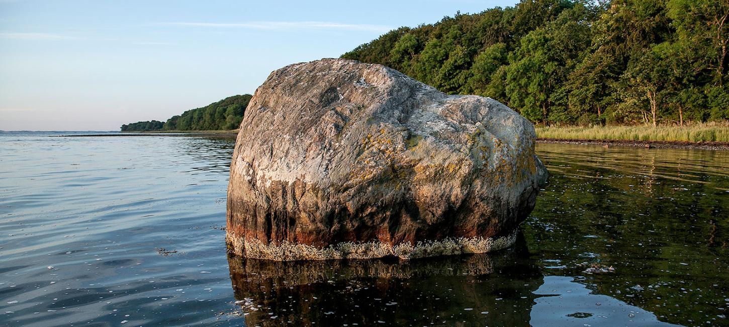 Lommestenen | Odsherred | Stokkebjerg Skov | Gnejs | Vandresten